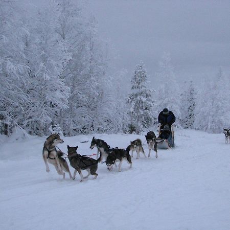 Motel Willis West Ruka Buitenkant foto