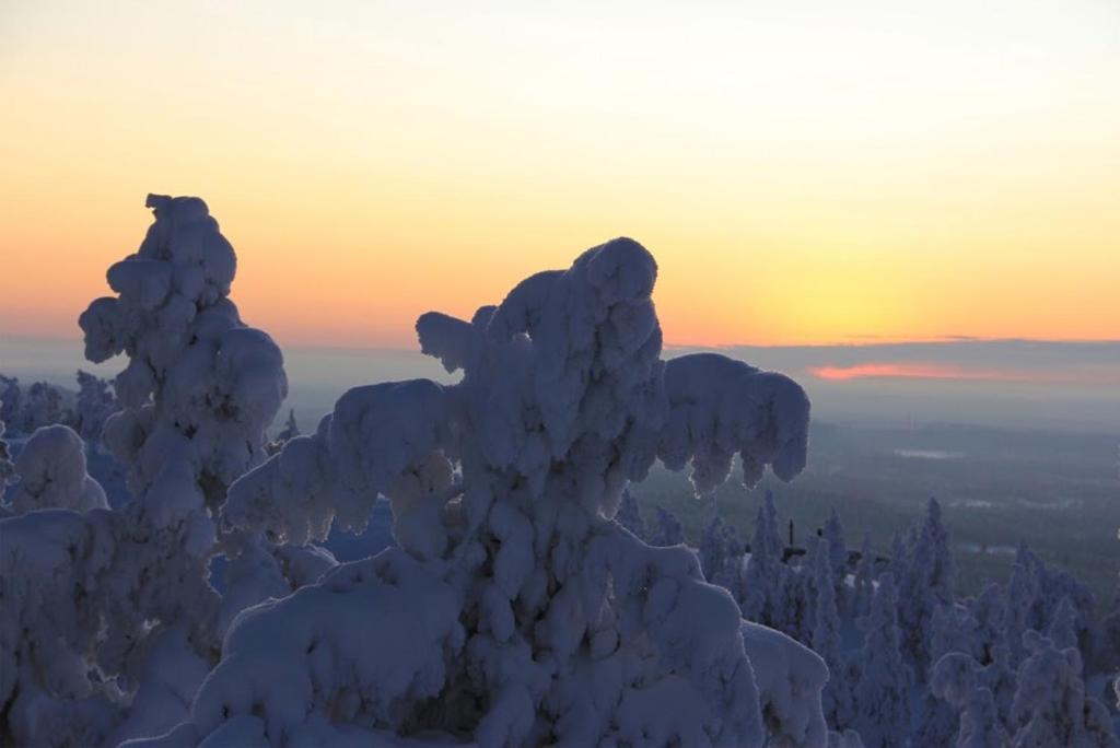 Motel Willis West Ruka Buitenkant foto